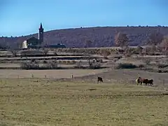 Bovins près du Rocher d'Ongles.