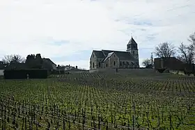 Vue de l'église sur des vignes.
