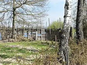 L'affût des Hérons.