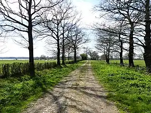 Le chemin des Brouilles au nord de l'étang.