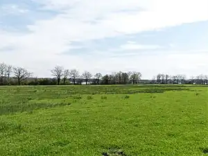 Zone humide le long du chemin des Brouilles.