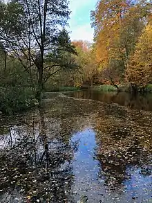 L’étang  du Clos des Chênes