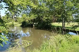 Étang dans le parc.