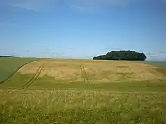 Le fond des Greffes, à l'ouest de la commune.