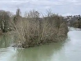 Île vue depuis le pont de Chennevières.
