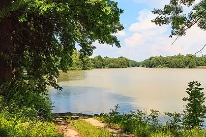 Étang de Černíkovický.