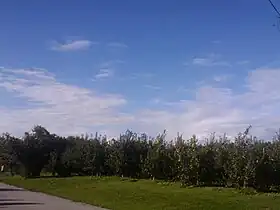 Świdry (Opole Lubelskie)