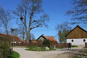 Żywkowo (Górowo Iławeckie)