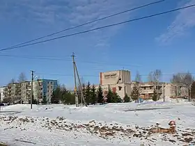 Borki (raïon de Novgorod)