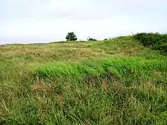 mur de la forteresse de Zakharivska, classée,