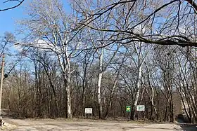 Image illustrative de l’article Bosquet Kirillivsky