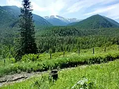 Sentier vers les lacs.