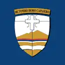 Drapeau de Istočno Novo Sarajevo