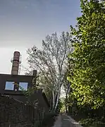 Le Bosquet Kirillivsky classé n° 80-385-5003 et n° 80-391-0243.