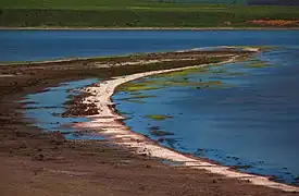 La flèche classée,