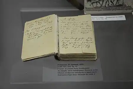 Notes manuscrites pour le roman Zona Zamfirova.