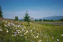 Entrée dans le raïon de la Tounka.