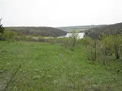 La forêt Nikanorivsky, classée.