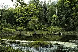 Lac Lebedyn, classé.