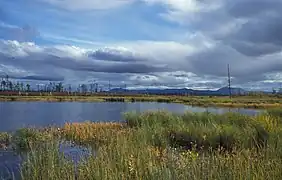 Marécages de la réserve naturelle de Magadan.