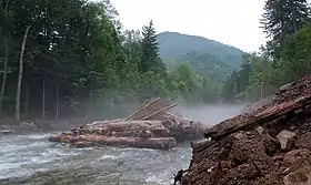 Raïon de Krasnoarmeïsk (kraï du Primorié)