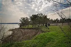 Réserve mont Lysa classée.