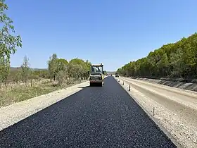 Raïon de Dalneretchensk