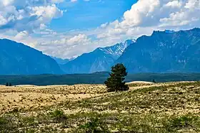 Image illustrative de l’article Sables de Tchara