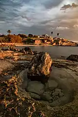 Dans le parc national d'Achziv, en Israël. Novembre 2018.