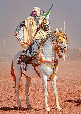 Cavalier et Selle algérien pendant une fantasia