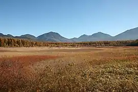 Photo couleur d'une pleine herbeuse aux couleurs automnales, avec, en arrière-plan, une chaîne de montagnes boisées, sous un ciel bleu.