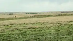 Bannière unie de Darhan Muminggan