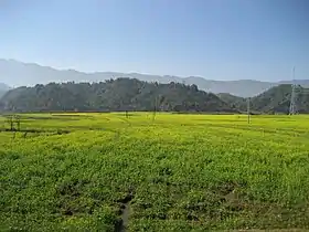 Xian de Longchuan (Yunnan)