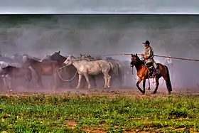 Bannière orientale d'Ujimqin