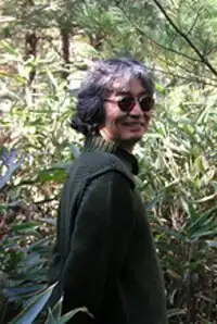 Image illustrative de l'article Min Hyeon Sik