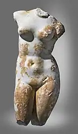 Vénus anadyomène (musée Saint-Raymond, Ier siècle).