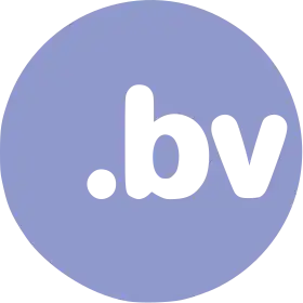 Image illustrative de l’article .bv