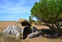 Image illustrative de l’article Dolmen de Cornevache