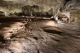 04 : Ossements et bauge d’ours.