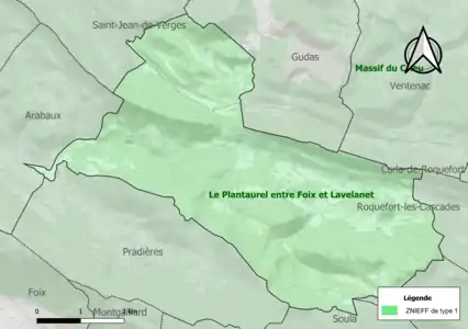 Carte des ZNIEFF de type 1 sur la commune.
