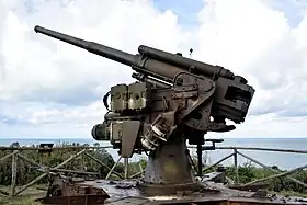 Image illustrative de l'article Cannone da 90/53