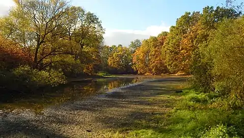 Réserve naturelle de Tůń u Hrobic.