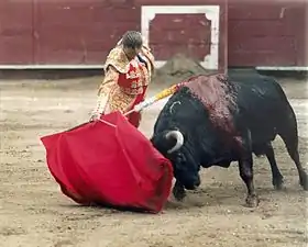 Image illustrative de l’article Cristina Sánchez