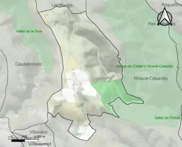 Carte de la ZNIEFF de type 1 sur la commune.