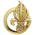 Insigne de béret de la 13e DBLE