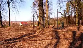 Borów (Opole Lubelskie)