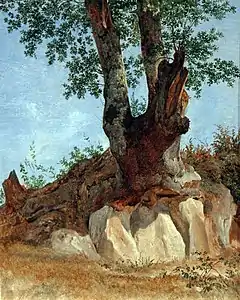 Heinrich Reinhold, Étude d'arbre, 1822-23. Huile sur papier marouflé sur carton, 25,6 × 23 cm. Kunsthalle de Hambourg.