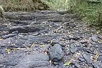 Encore plus au Sud, en haut du flanc : Un chaos de siltites (schistes) pourpres.