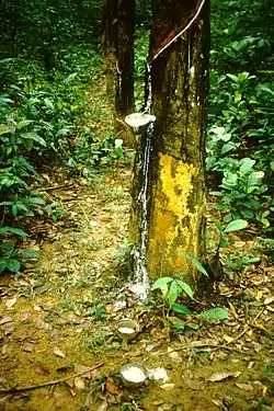 Image illustrative de l’article L'Équipée malaise