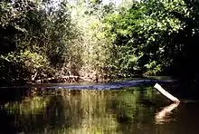 Cascade sur le courant d'Huchet